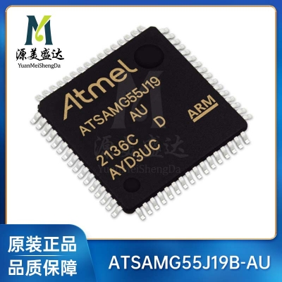 ATSAMG55J19B-AU